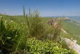Джангур, image of landscape/habitat.