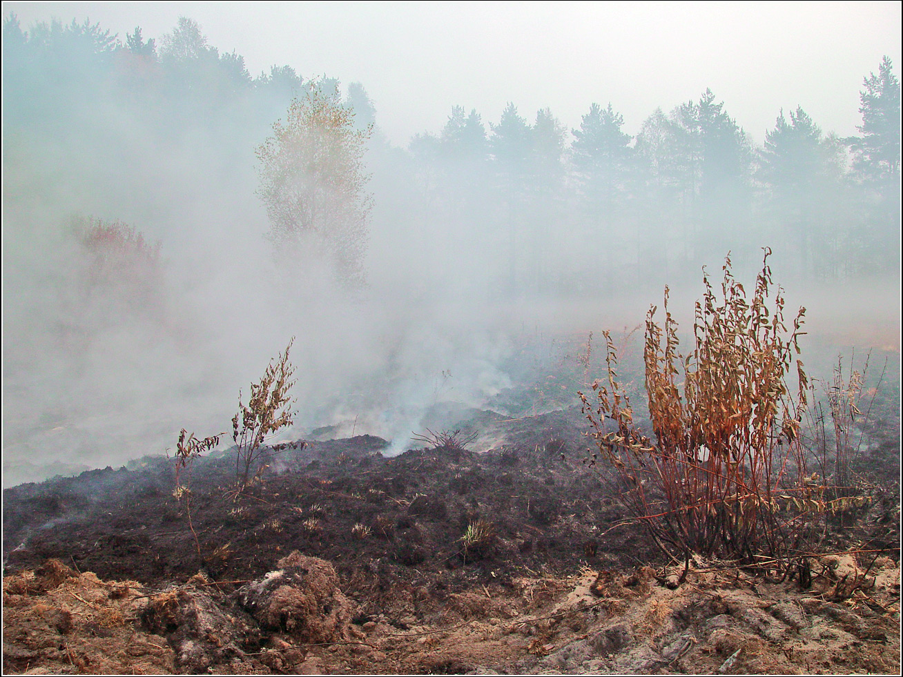 Окрестности Хрипани, image of landscape/habitat.