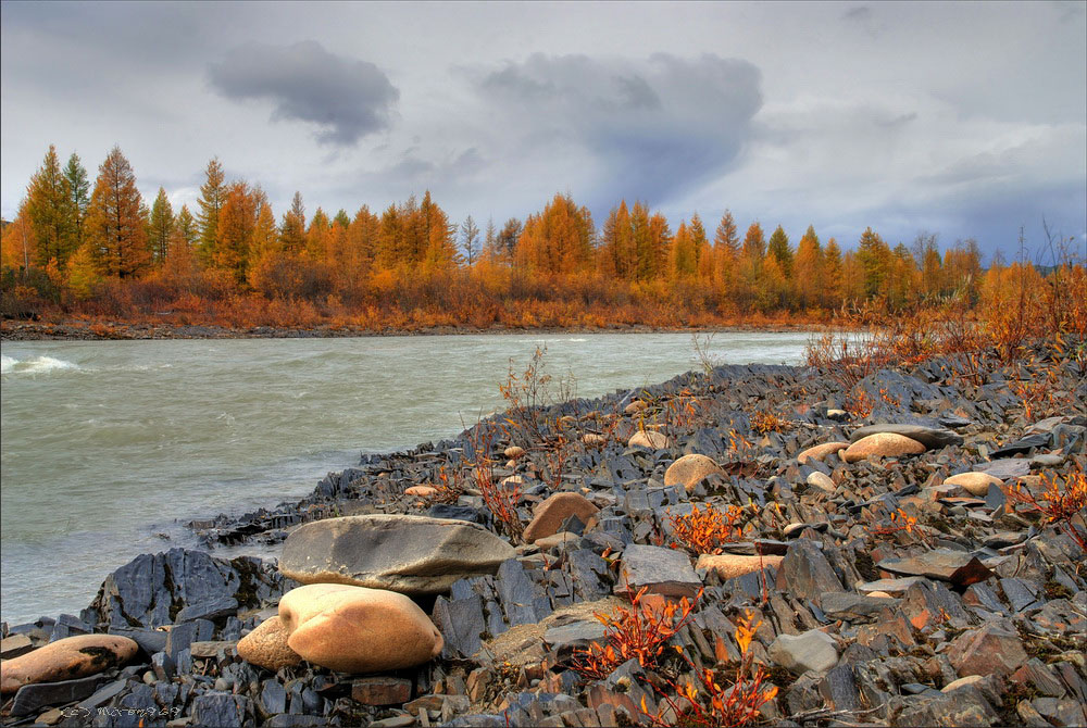 Долина реки Дебин, image of landscape/habitat.