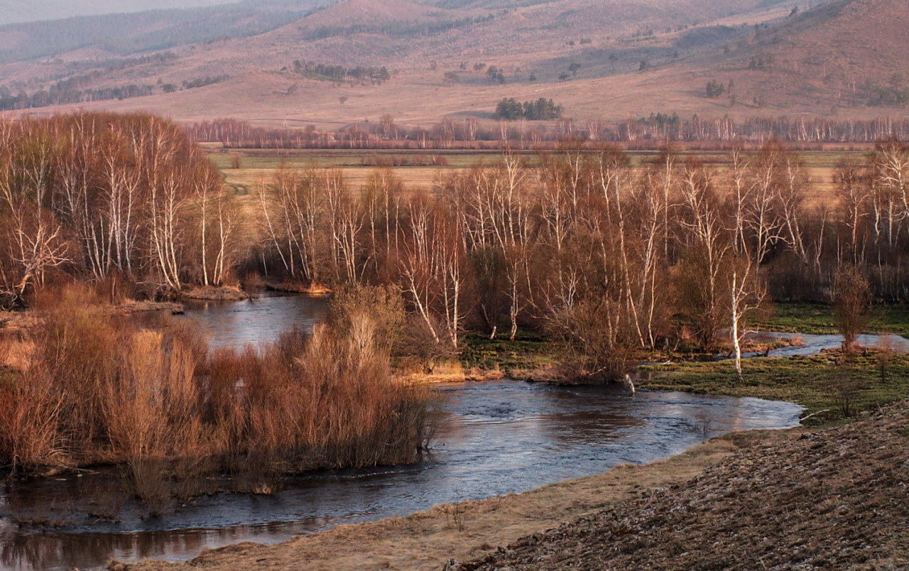 Озеро Абрамовское, image of landscape/habitat.
