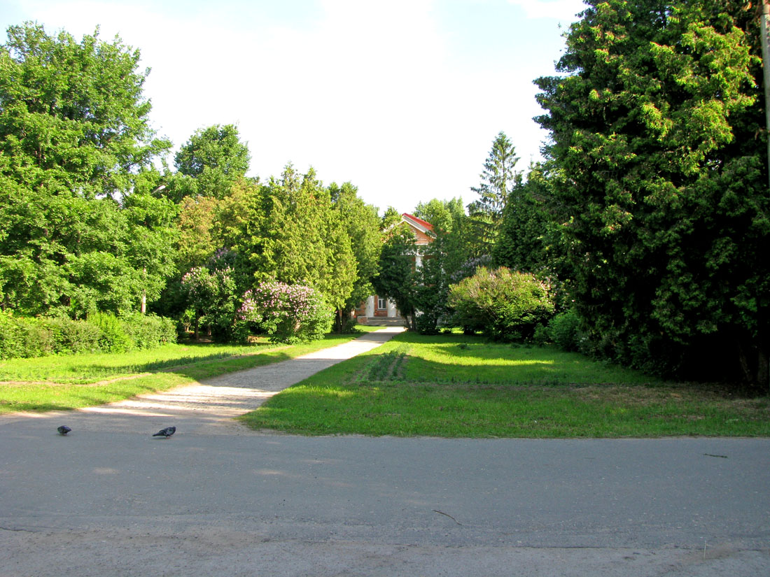 Борок и окрестности, image of landscape/habitat.