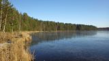 Озеро Белое, image of landscape/habitat.