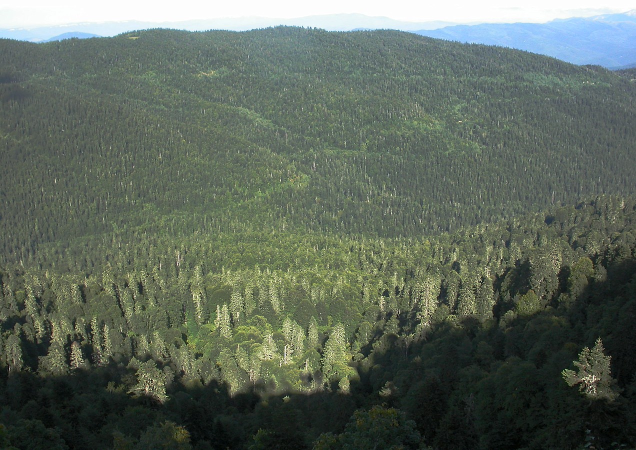 Лагонаки, image of landscape/habitat.