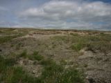 Image of landscape