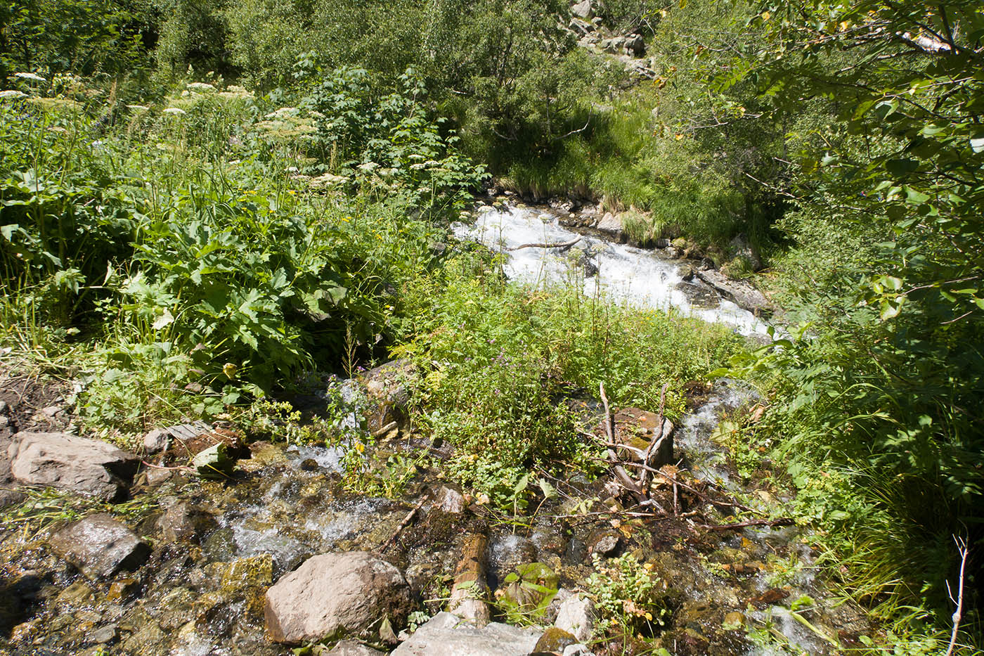 Имеретинское ущелье, image of landscape/habitat.