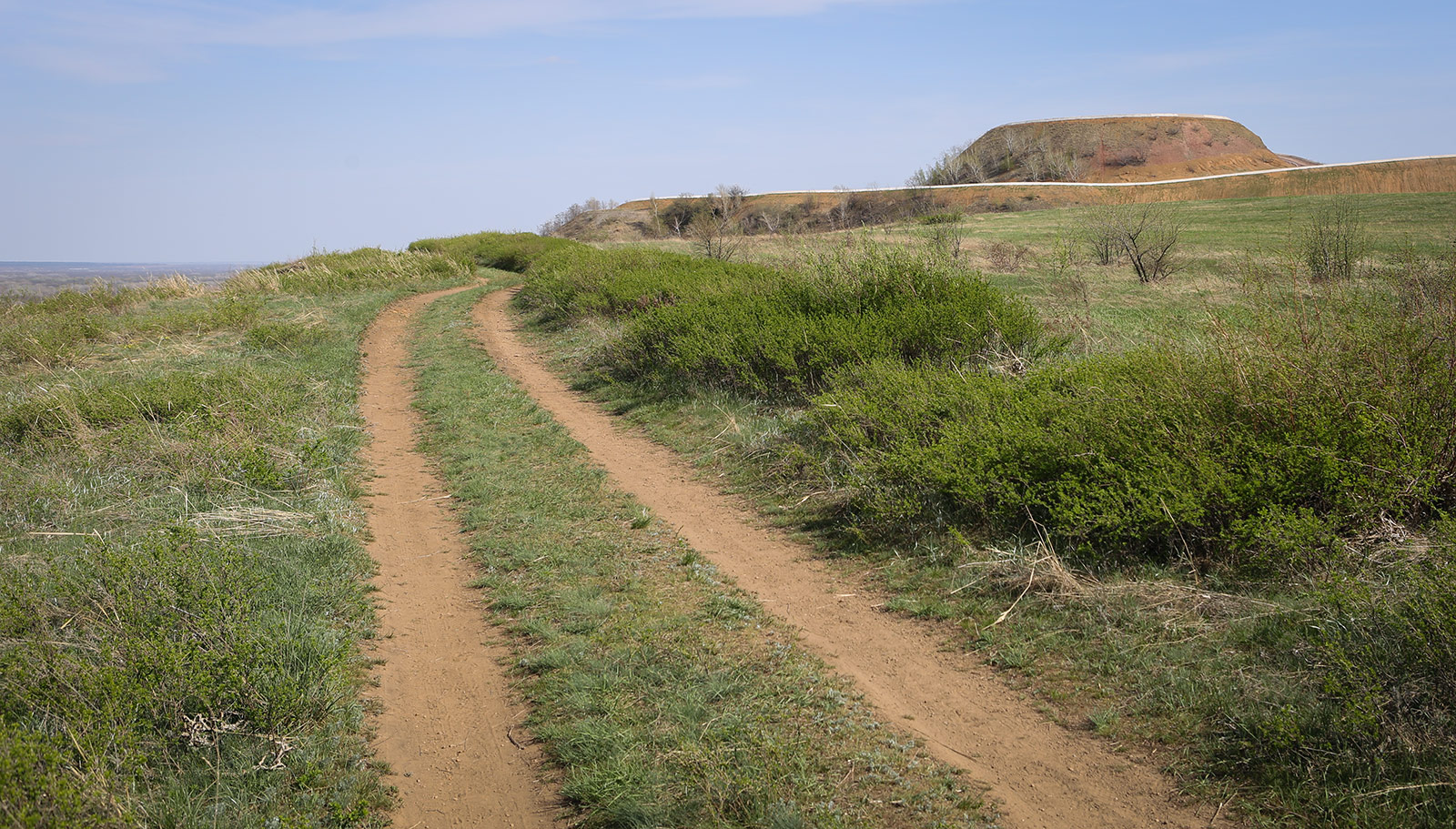 Донецк и его окрестности, image of landscape/habitat.