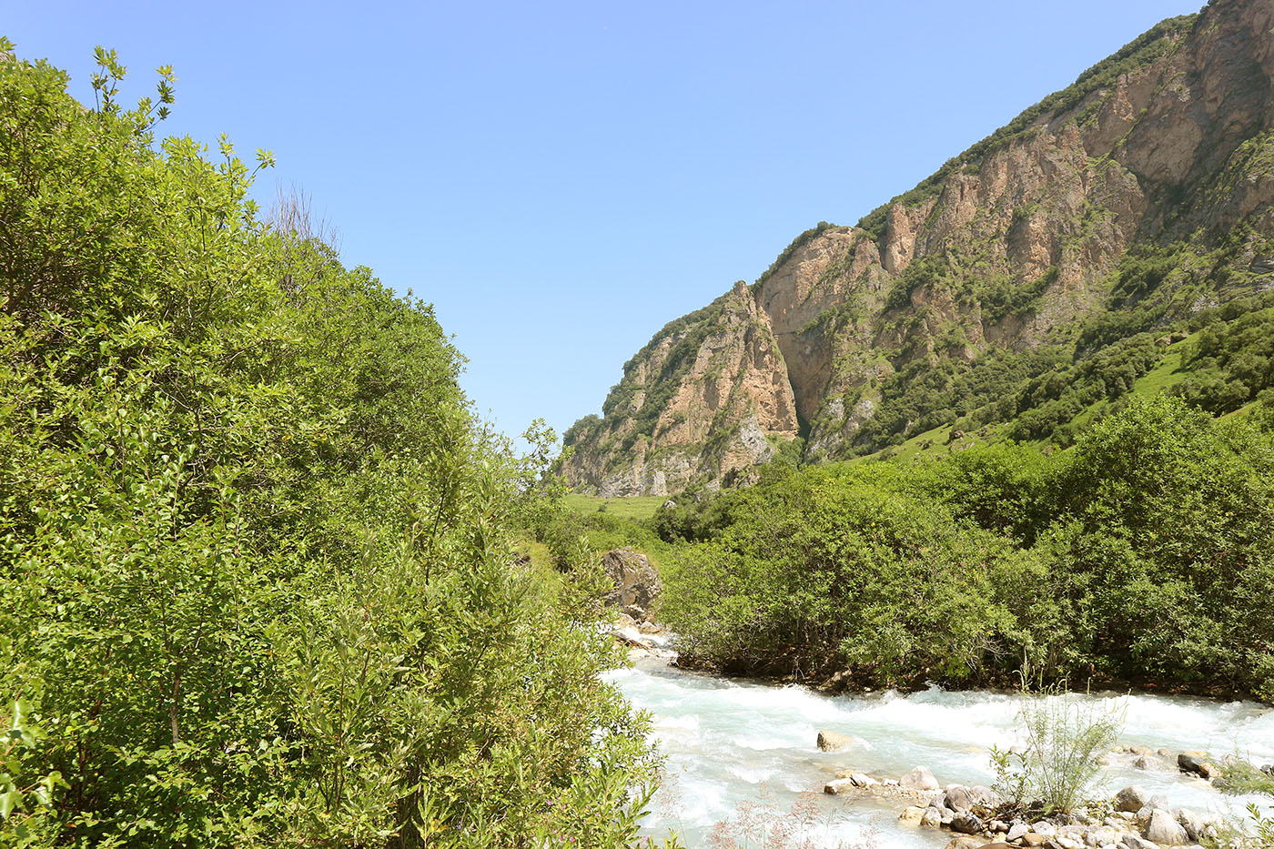 Хазнидонская теснина, изображение ландшафта.