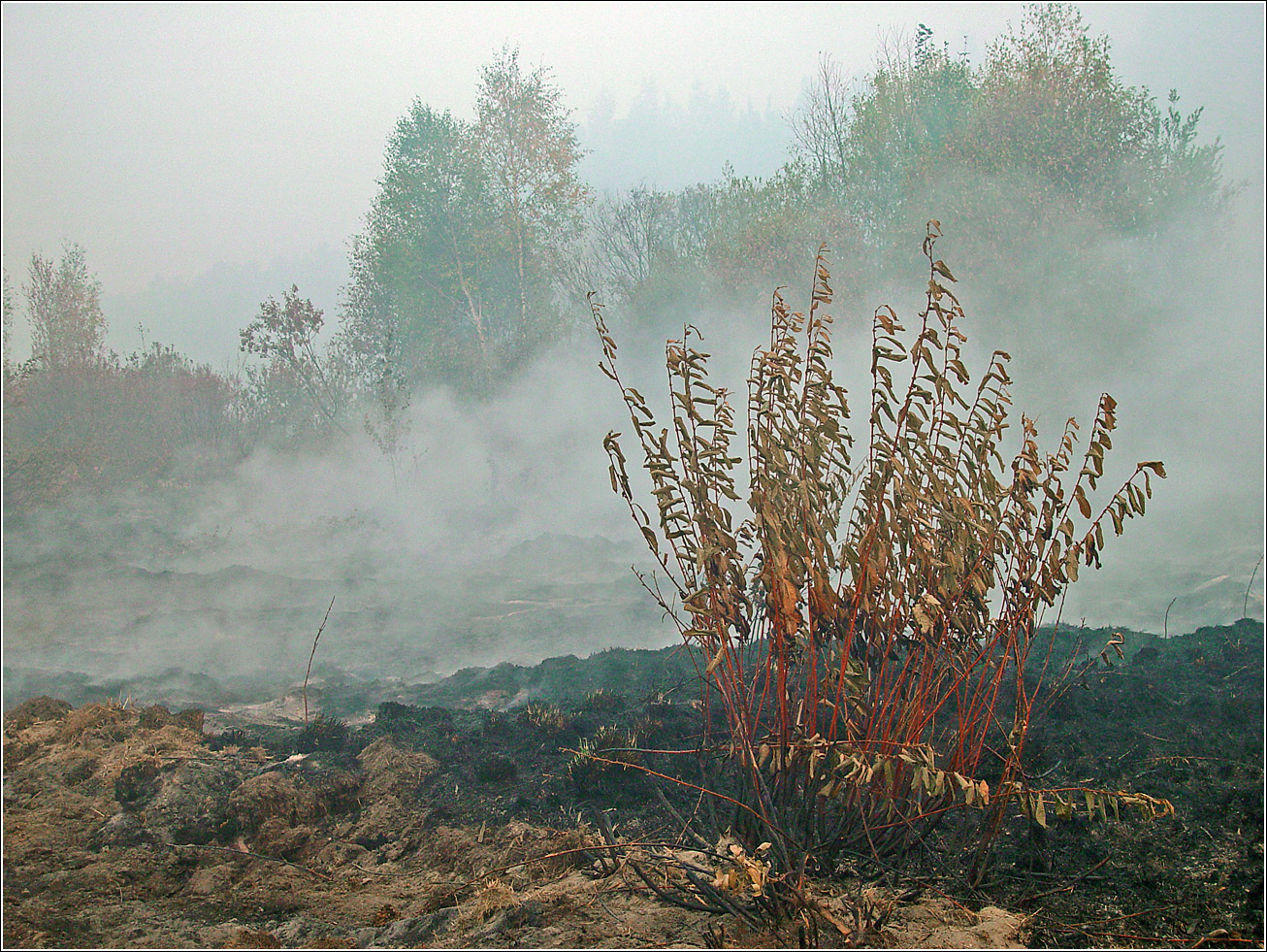Окрестности Хрипани, image of landscape/habitat.