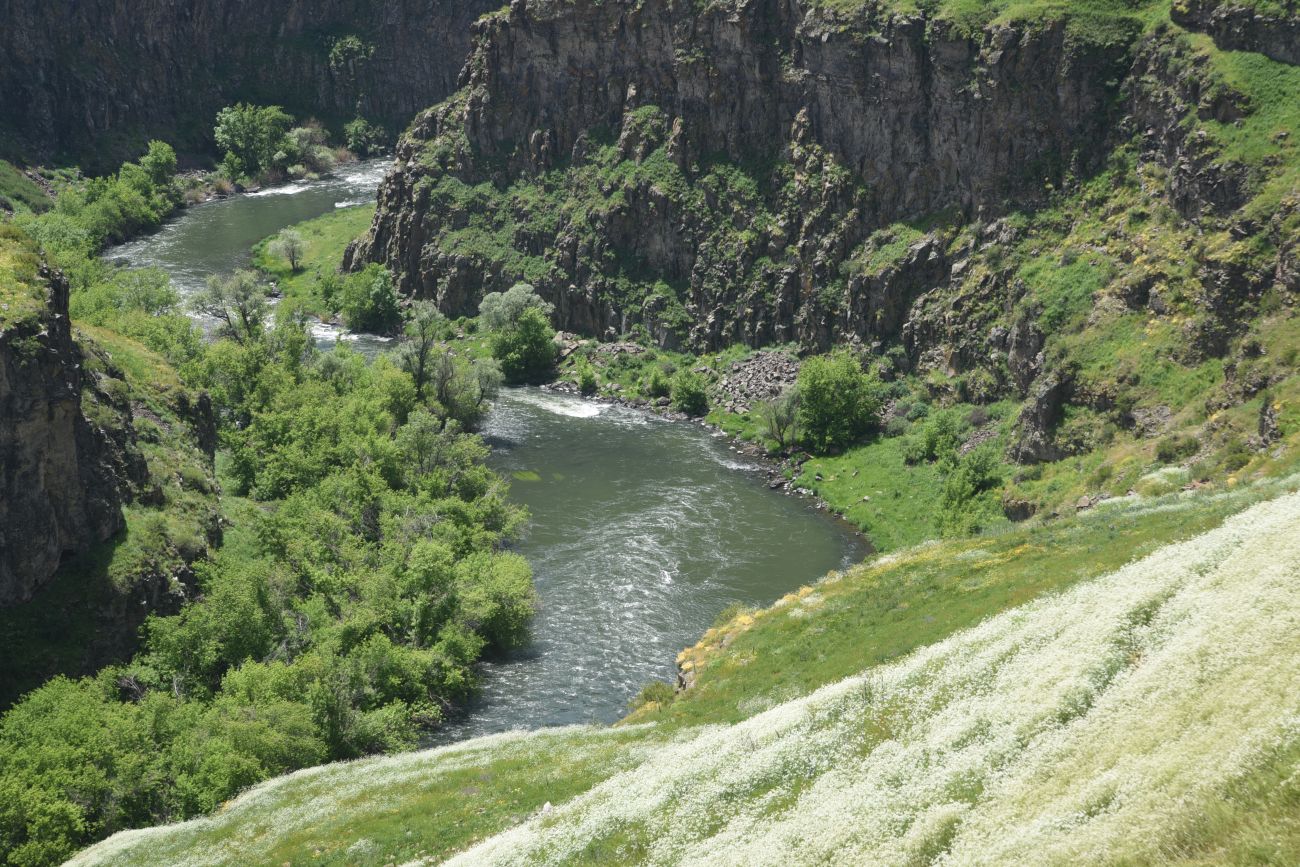 Окрестности бывшего города Ани, image of landscape/habitat.