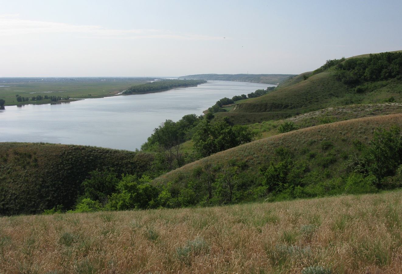 Калач-на-Дону, image of landscape/habitat.