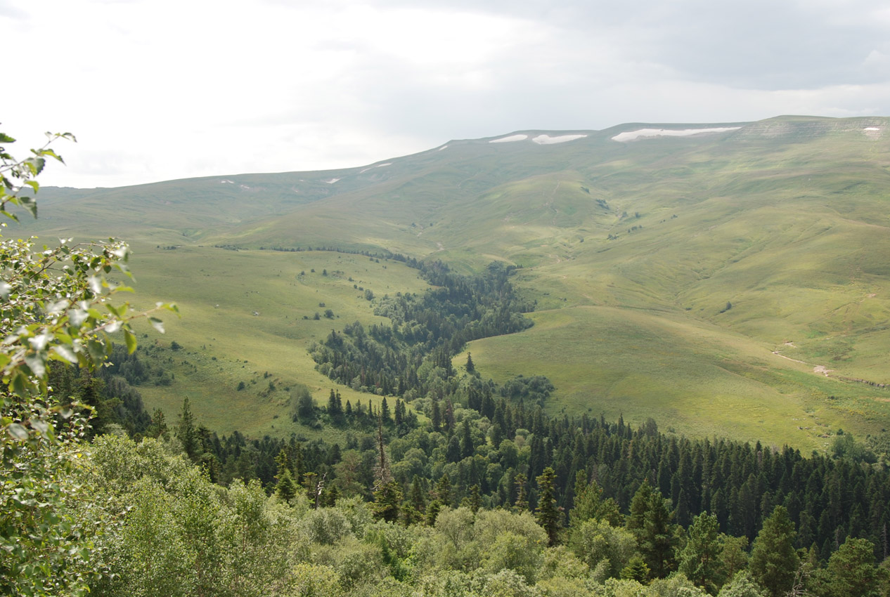 Плато Лагонаки, image of landscape/habitat.
