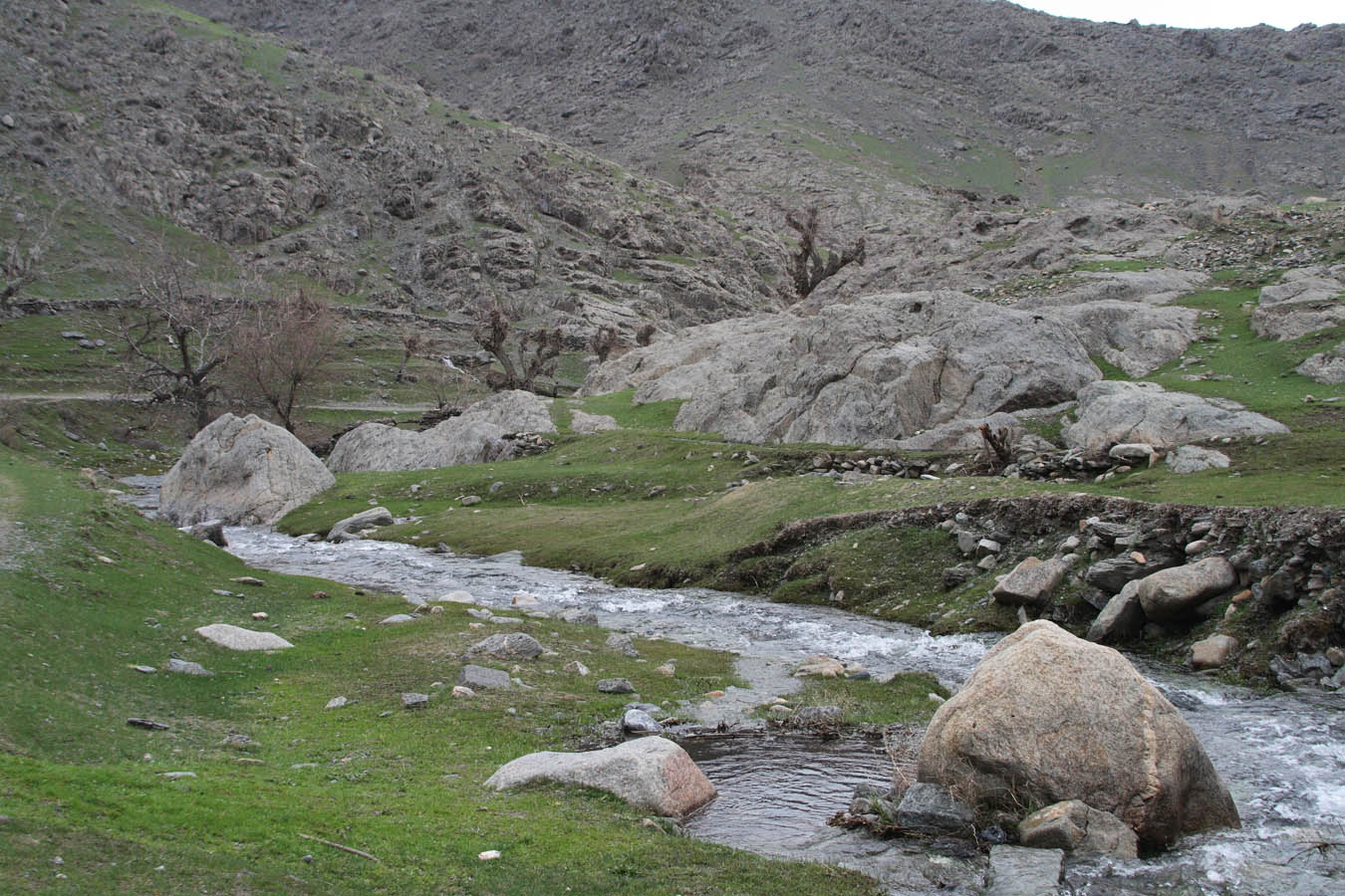 Маджерумсай, image of landscape/habitat.