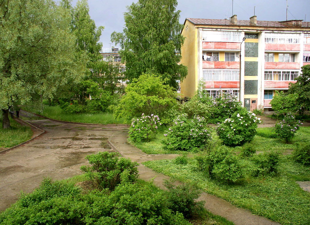 Борок и окрестности, image of landscape/habitat.