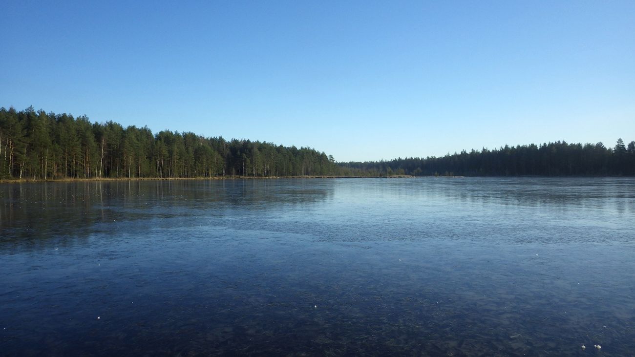 Озеро Белое, image of landscape/habitat.