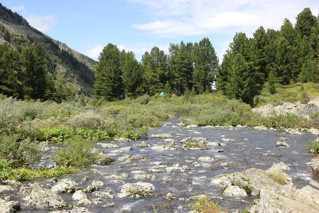 Долина реки Куйгук, image of landscape/habitat.