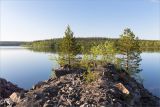 Image of landscape
