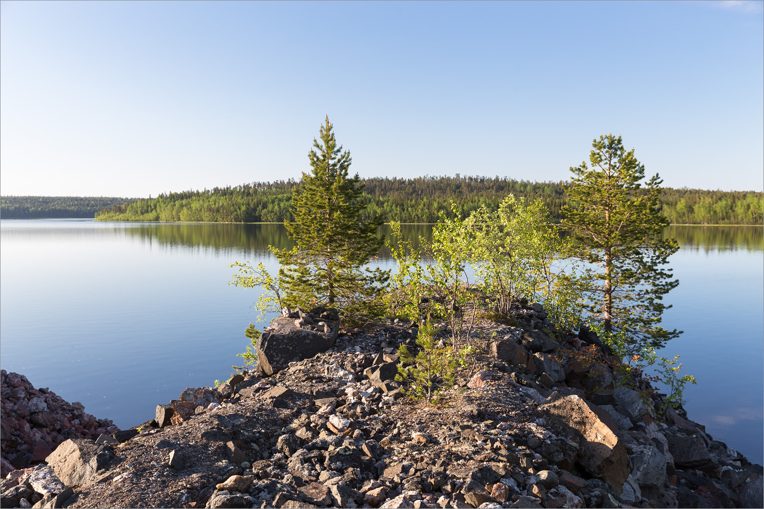 Чкаловский, image of landscape/habitat.