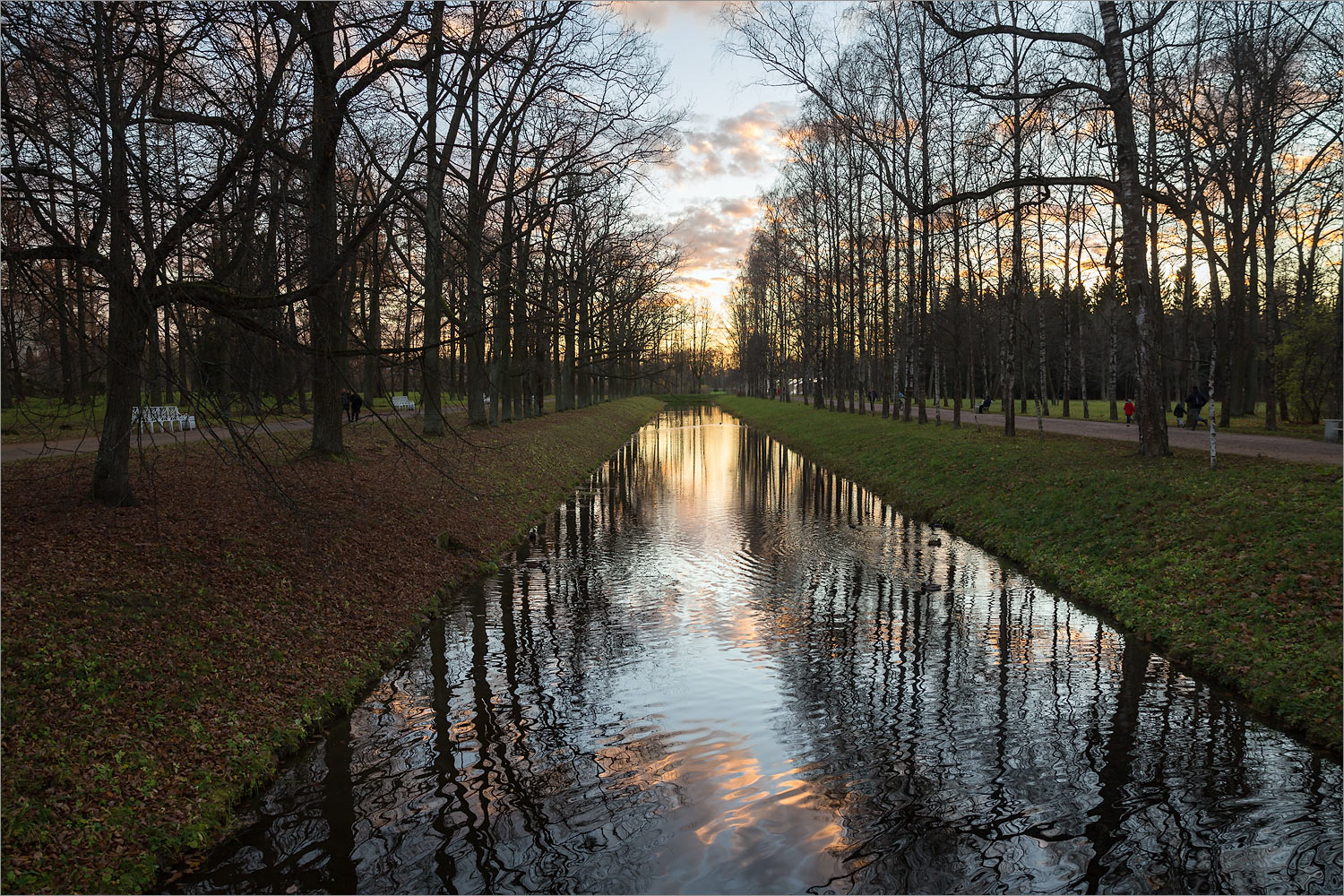 Город Пушкин, image of landscape/habitat.