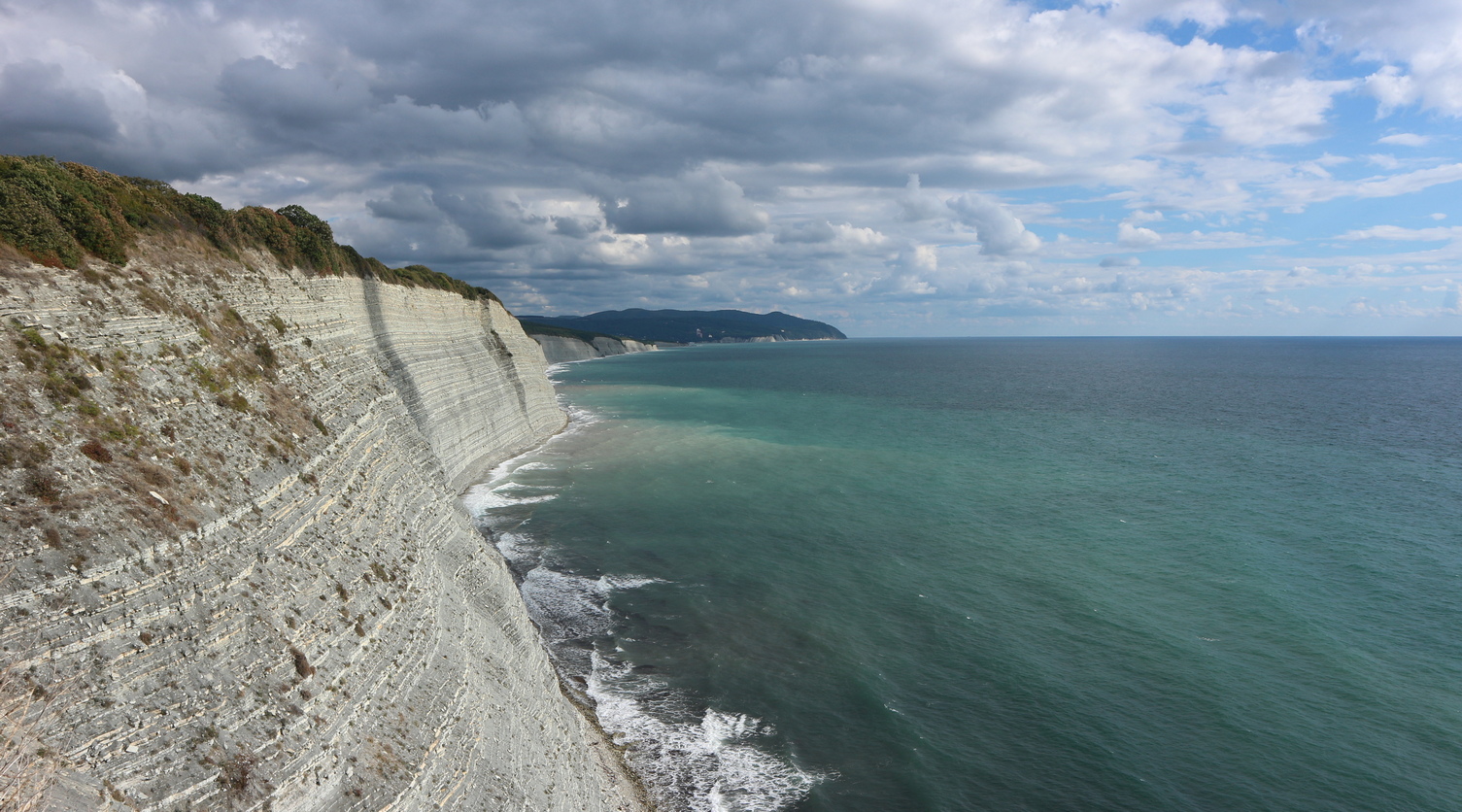 Заброшенные виноградники, image of landscape/habitat.