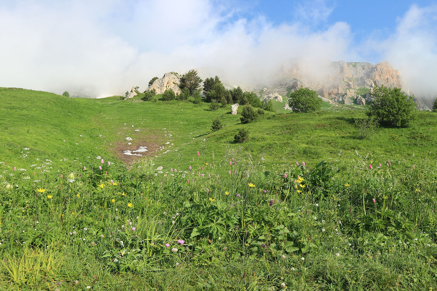 Яворова Поляна, image of landscape/habitat.