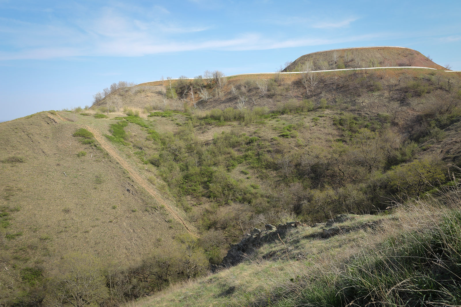 Донецк и его окрестности, image of landscape/habitat.