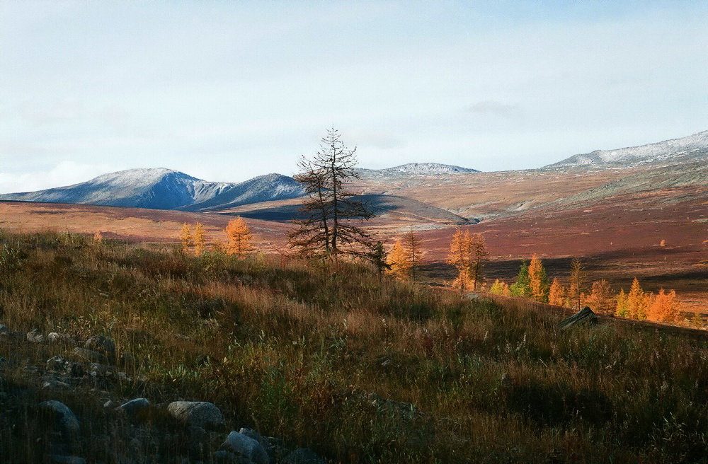 Алькесвож, image of landscape/habitat.