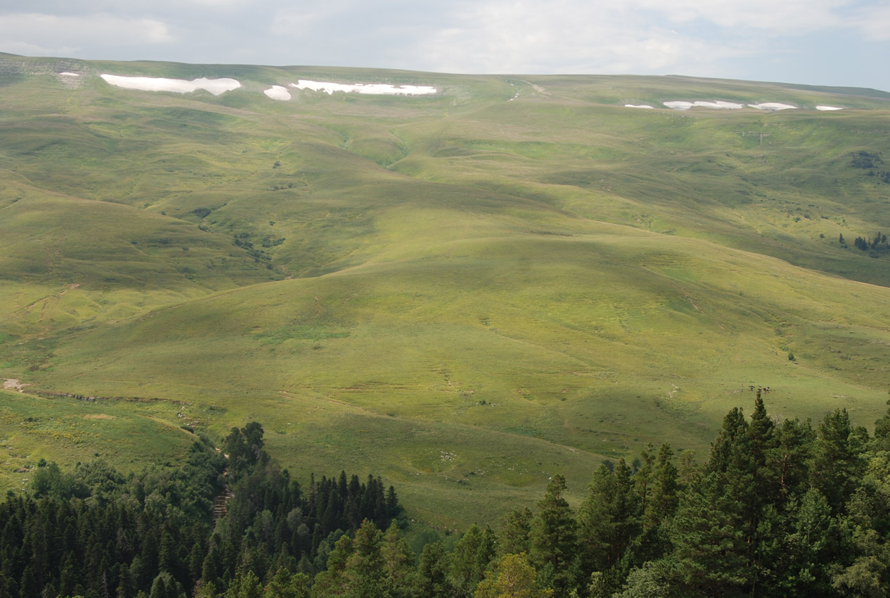 Плато Лагонаки, image of landscape/habitat.