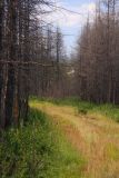 Image of landscape