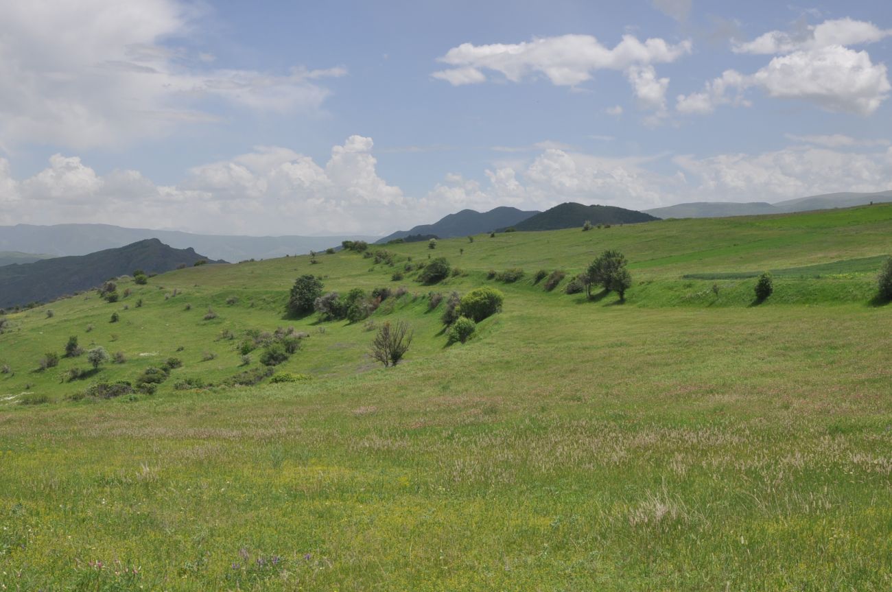 Окрестности села Грели, image of landscape/habitat.