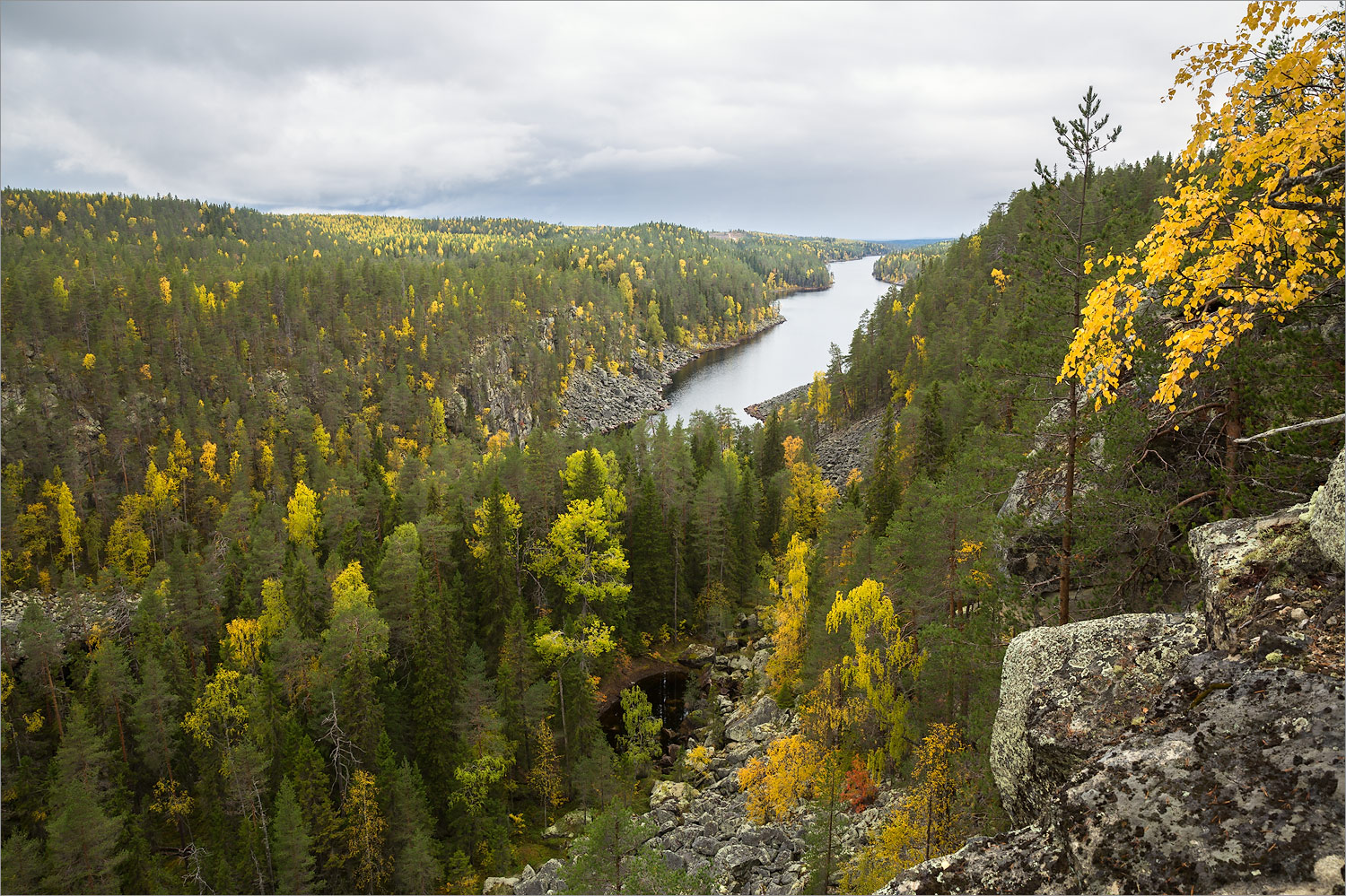 Пизанец, image of landscape/habitat.