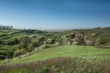 Урочище Каменная Балка, image of landscape/habitat.