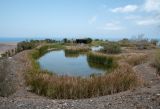 Ботанический сад Фуэртевентуры, image of landscape/habitat.