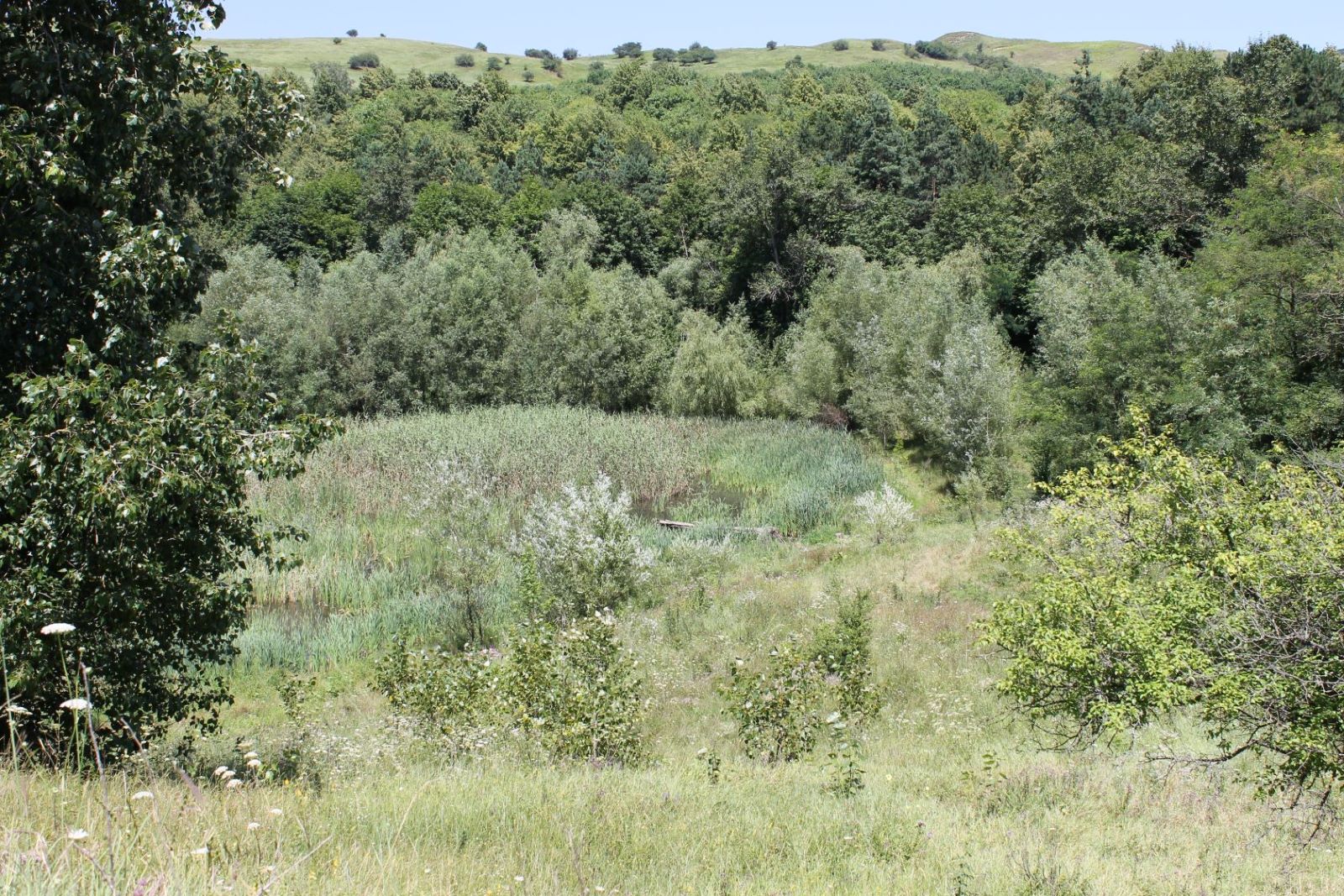 Заманкул, image of landscape/habitat.