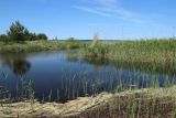 Окрестности деревни Выбье, image of landscape/habitat.