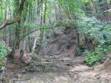 Image of landscape