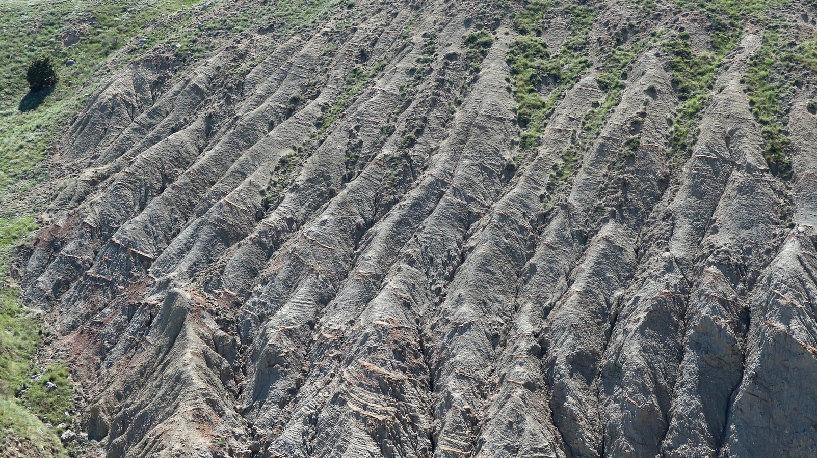 Лисья бухта, image of landscape/habitat.