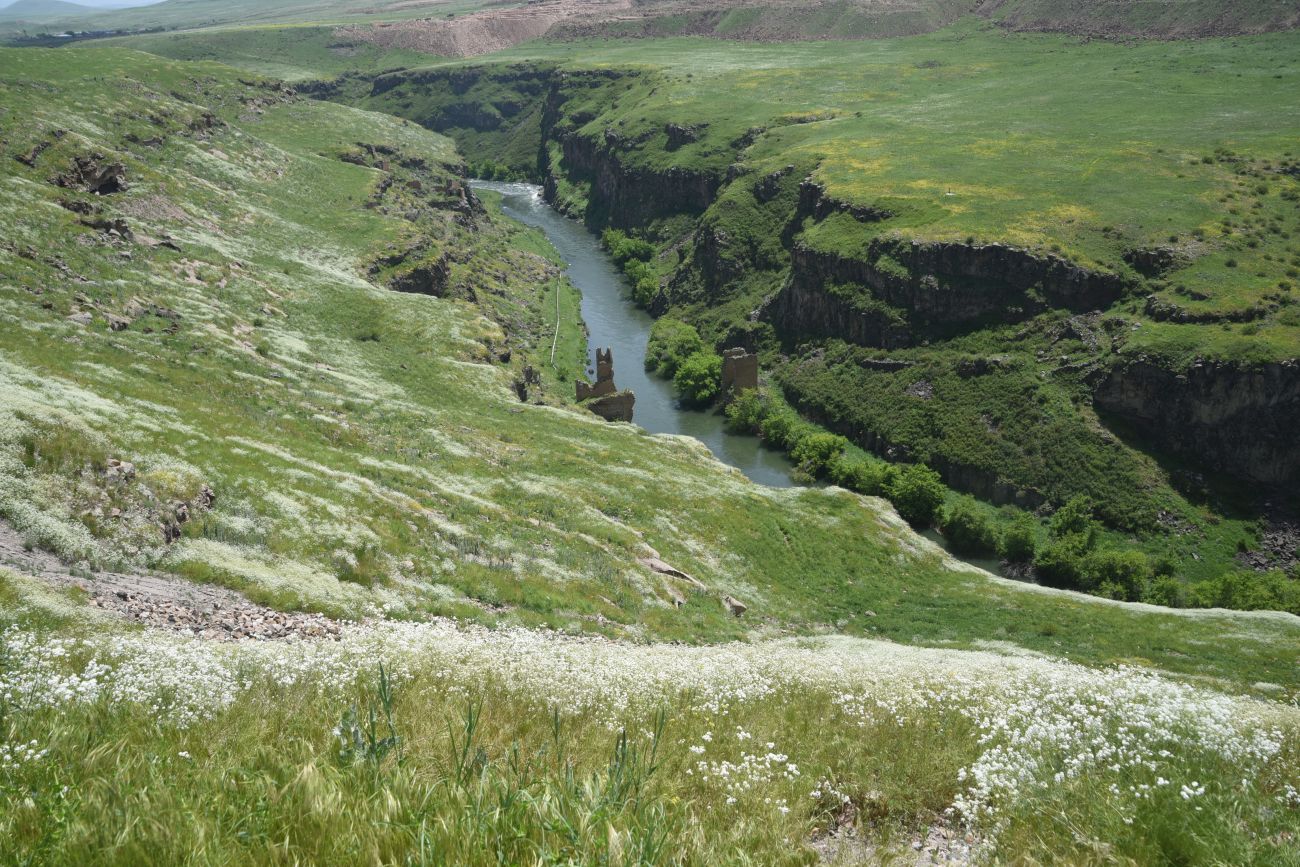 Окрестности бывшего города Ани, image of landscape/habitat.