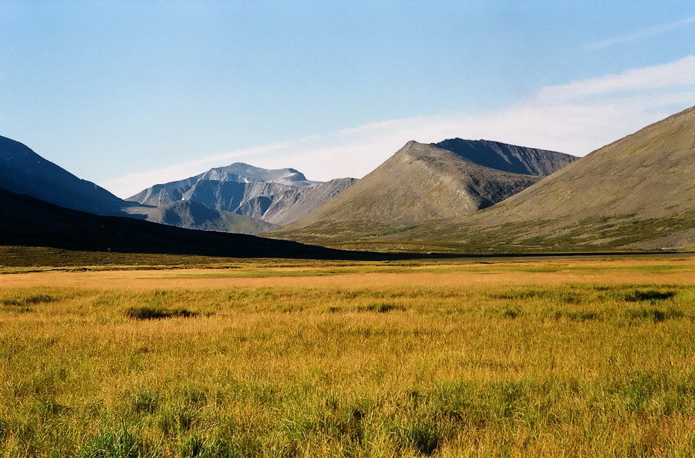 Желанный, image of landscape/habitat.