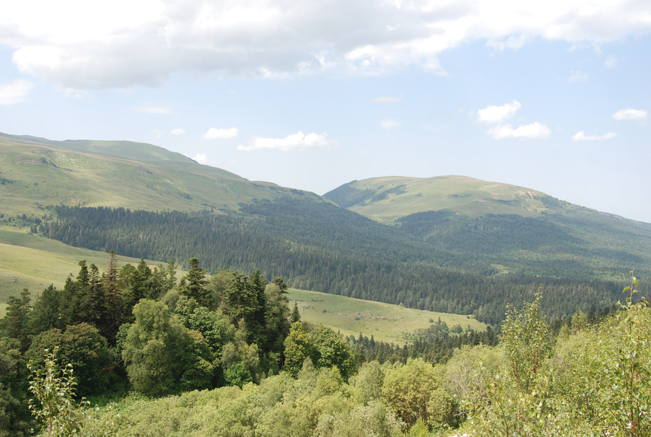 Плато Лагонаки, изображение ландшафта.