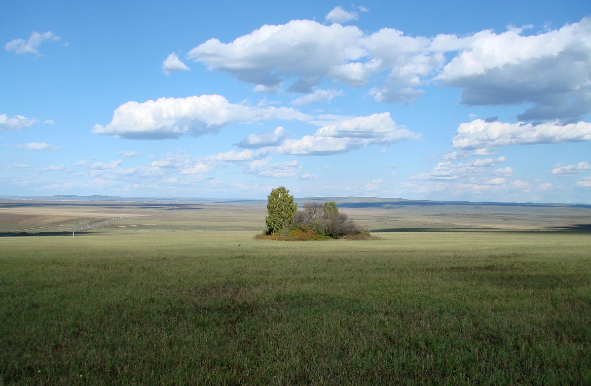 Жердовка, image of landscape/habitat.