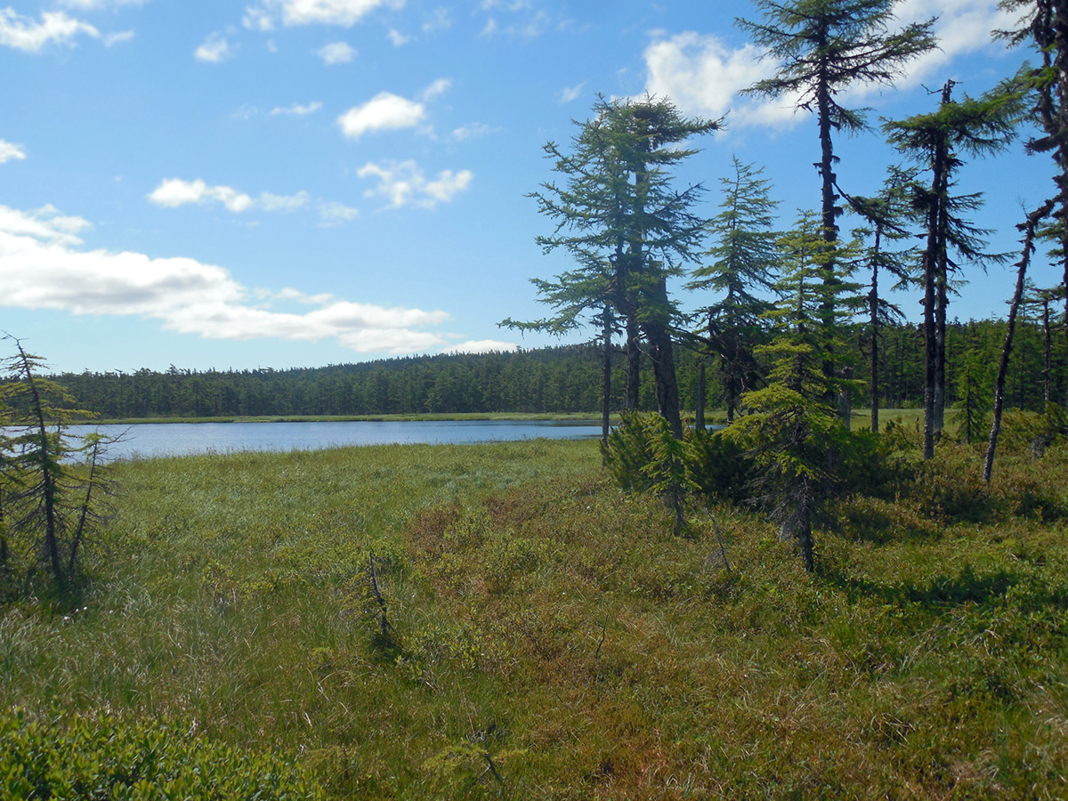 Озеро Таёжное, image of landscape/habitat.