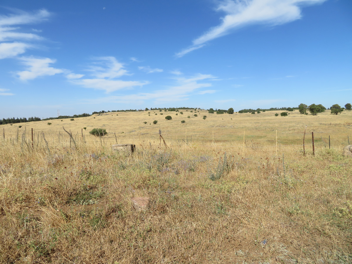 Голанские высоты, image of landscape/habitat.