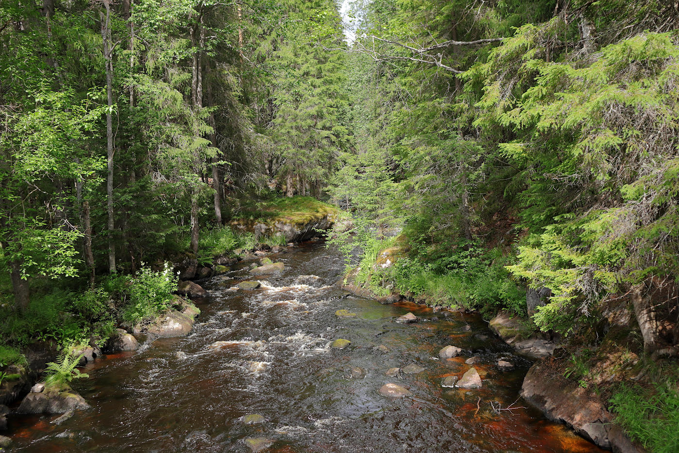 Окрестности Ихалы, image of landscape/habitat.