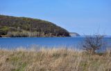 Image of landscape