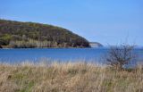 Залив Жигулёвская Труба, image of landscape/habitat.