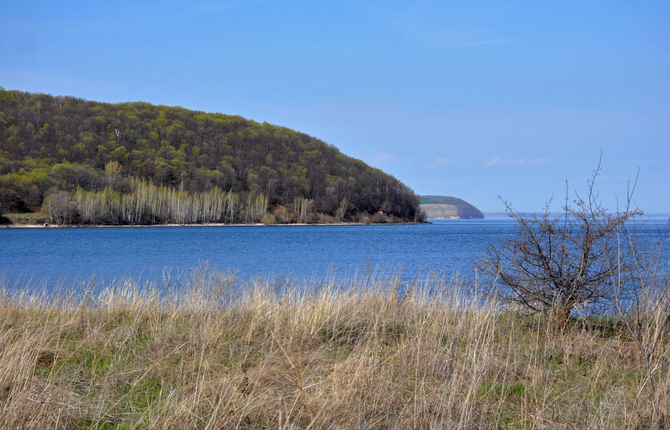 Залив Жигулёвская Труба, image of landscape/habitat.