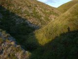 Image of landscape