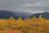 Image of landscape
