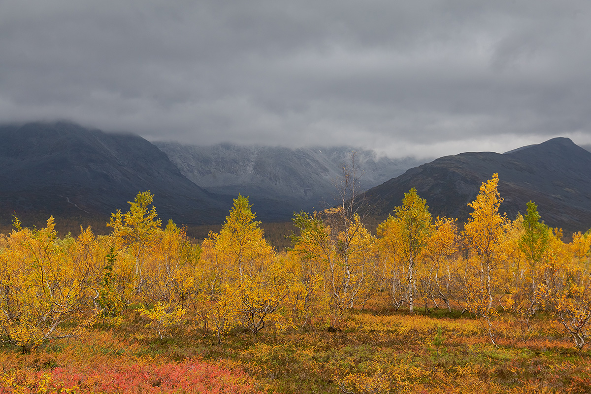 Долина Малого Вудъявра, image of landscape/habitat.