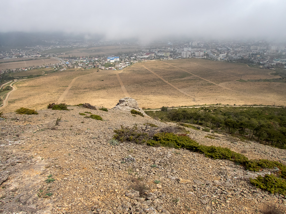 Гора Лысая (Голая), image of landscape/habitat.